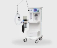 anes 1 202x170