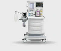 anes 2 202x170