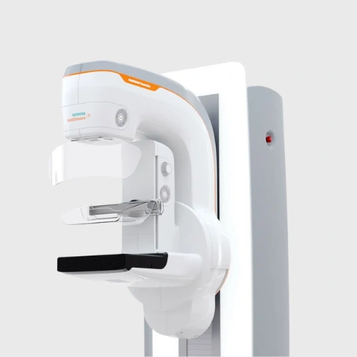 memmo 1